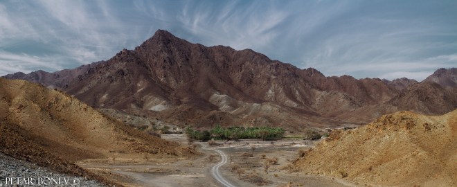 A desert oasis near Oman